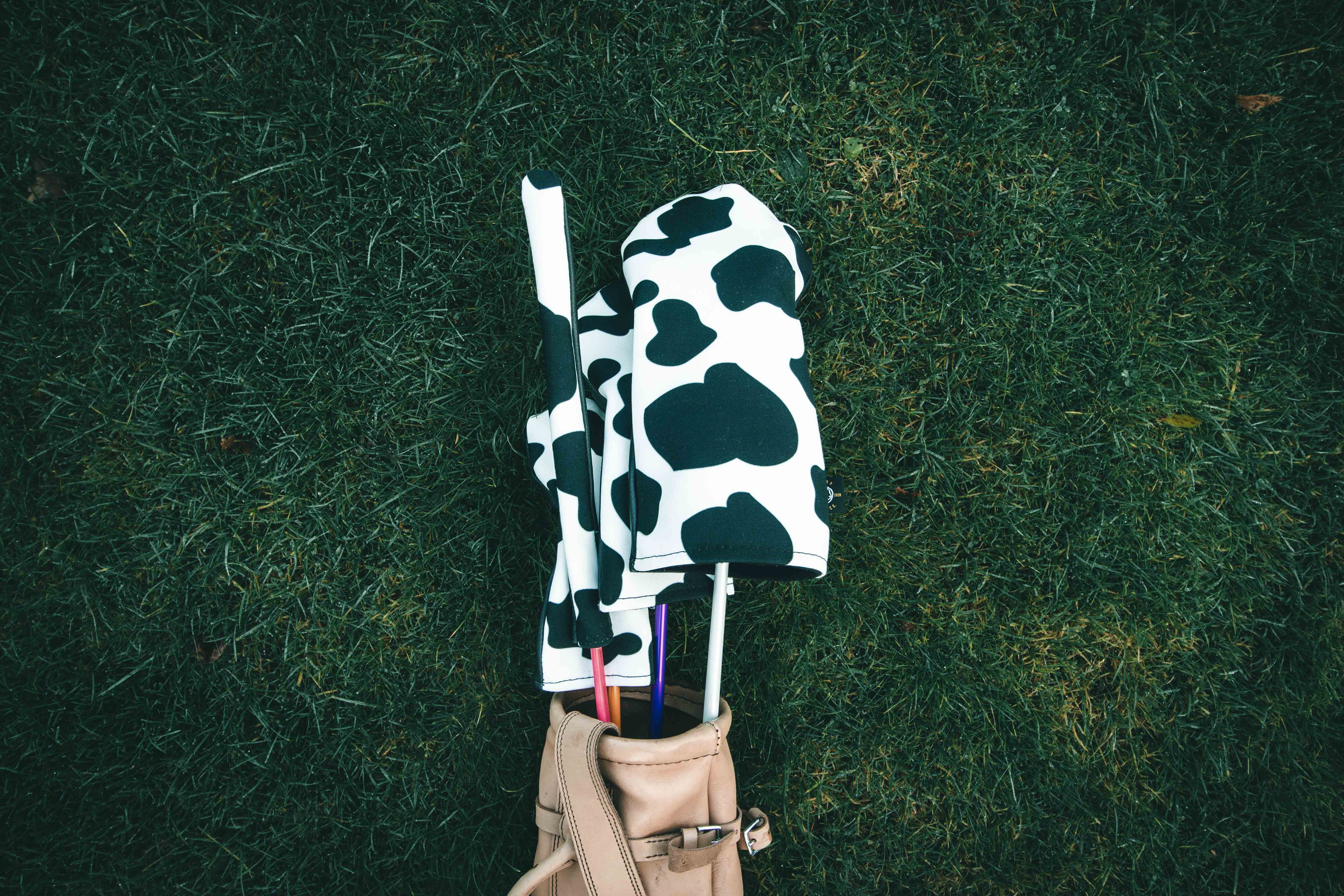 Cow Headcovers